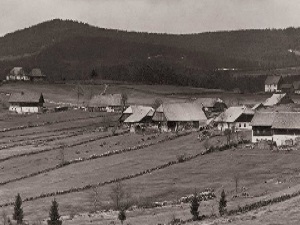 Znovuobjevená krása Šumavy
