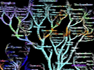 Ukázka z knihy Genesis: Velký příběh biologie