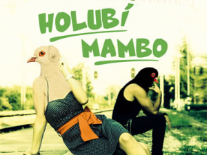 Výpověď o lidstvu z perspektivy holuba