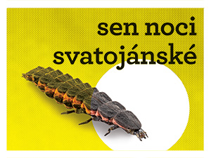 Vyřeší skupina A hrůzy svatojánského času?