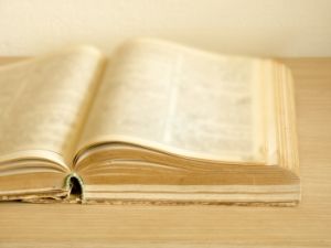 Krátké literární útvary pro milovníky české literatury
