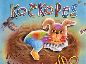 Seznamte se – kočkopes Kvído