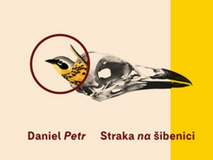 Přečtěte si román inspirovaný obrazem!