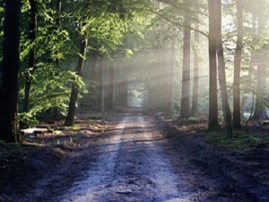 Závěr týdne ve společnosti psychologických románů