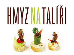 Zasoutěžte si o recepty z hmyzích ingrediencí