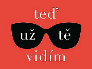Ukázka z knihy Teď už tě vidím (Nicole C. Kearová)
