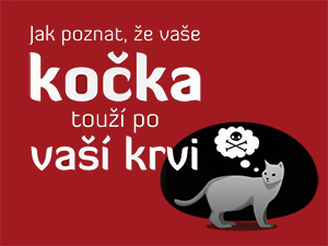 Získejte návod, jak se ubránit vlastní kočce