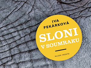Zasoutěžte si o sondu do neobvyklého vztahu