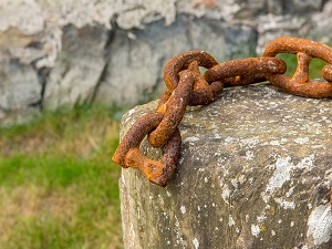 Lidské osudy napříč staletími