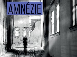 Recenze na knihu Michaela Robothama Amnézie