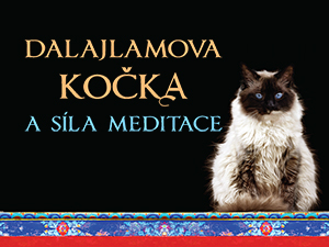 Vyhrajte volné pokračování příběhu Jesky