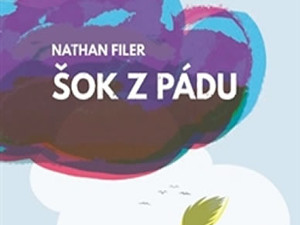 Co může způsobit šok z pádu?