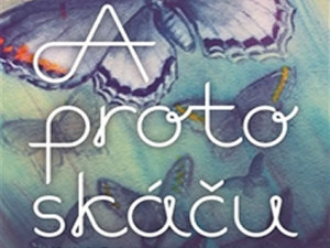 Bohatý svět autisty