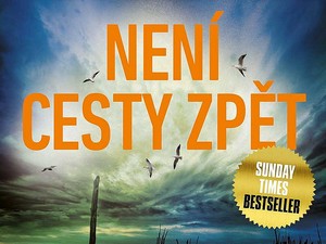 Když vaše sestra znenadání zmizí…