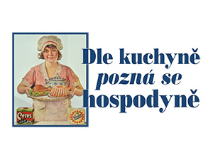 Získejte průvodce do minulosti českých domácností