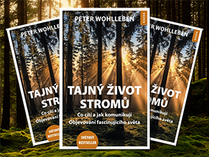 Zahrajte si o knihu plnou úžasných tajemství stromů a lesů