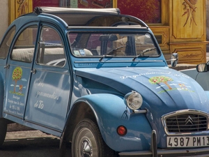 Za krásami Provence a Azurového pobřeží