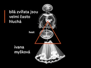 Sbírka povídek mladé české autorky