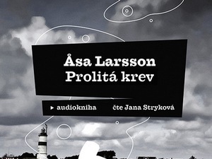 Rebecka Martinssonová a její další případ