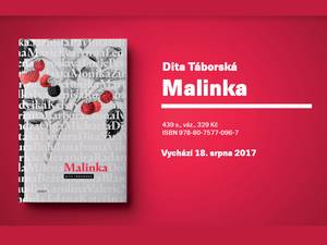Krize lidské identity a mateřství v mnoha podobách