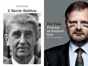 Sonda do české politiky