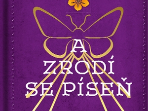 Třetí díl dystopické série Kostičas