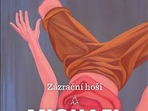 Romanopiscův román o romanopisci