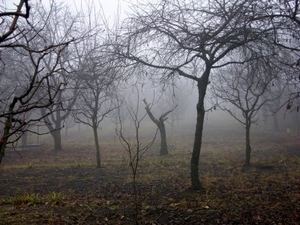 Thrillery, z kterých mrazí…