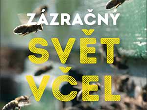Získejte fascinující pohled do továrny na med