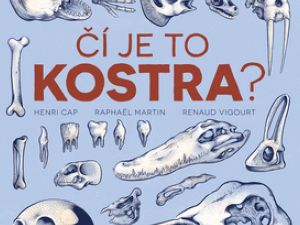 Mami, jak vypadá kostra slona?
