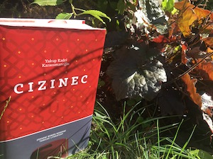 Cizincem ve vlastní zemi