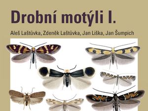 Výlet mezi drobné motýly