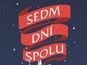 Vánoční pohroma