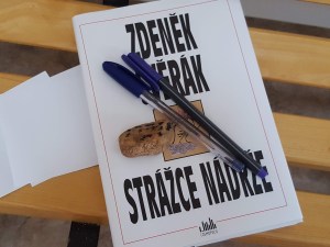 Pane řediteli…