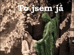 Povídky, verše, úvahy, epigramy a soudničky v jednom