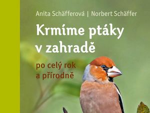Krmte ptáčky v zahradě po celý rok