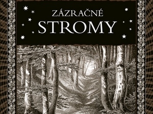 Svět stromů