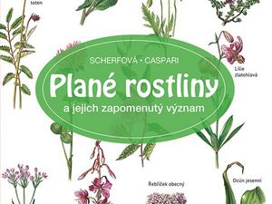 Objevte význam planých rostlin