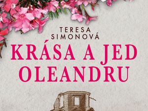 Láska, osudovost, utrpení a jiné životní kotrmelce