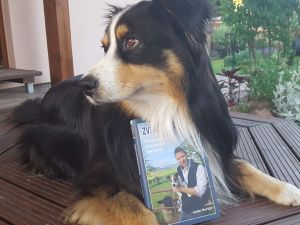 Za zvířátky za každého počasí
