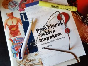 Poznej svého vlastního hlupáka