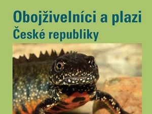 Poznejte české obojživelníky a plazy
