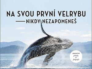 Nezapomenutelná setkání s velrybami
