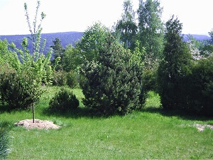 Návštěva
