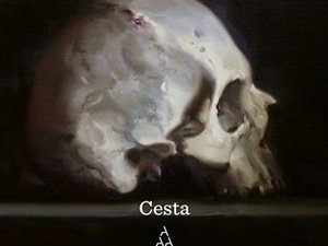 Postapokalyptický svět