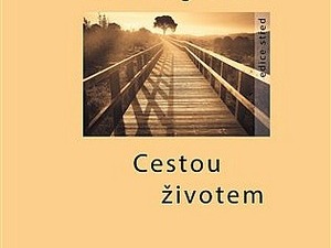 Cyklus povídek
