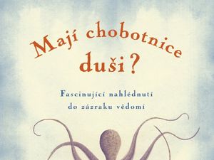 Chobotnice nejsou hloupé!