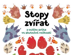 Sledujte stopy zvířat