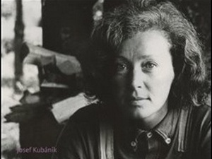 Ukázka z knihy Poslední deník Květy Fialové (Josef Kubáník)