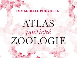 Odhalte tajemství zvířecího světa